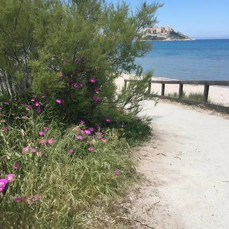 Studio Pinede Calvi Calvi (Corsica)